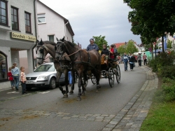  Pferdekutschen-Pendelverkehr zum Hopfenhaus 