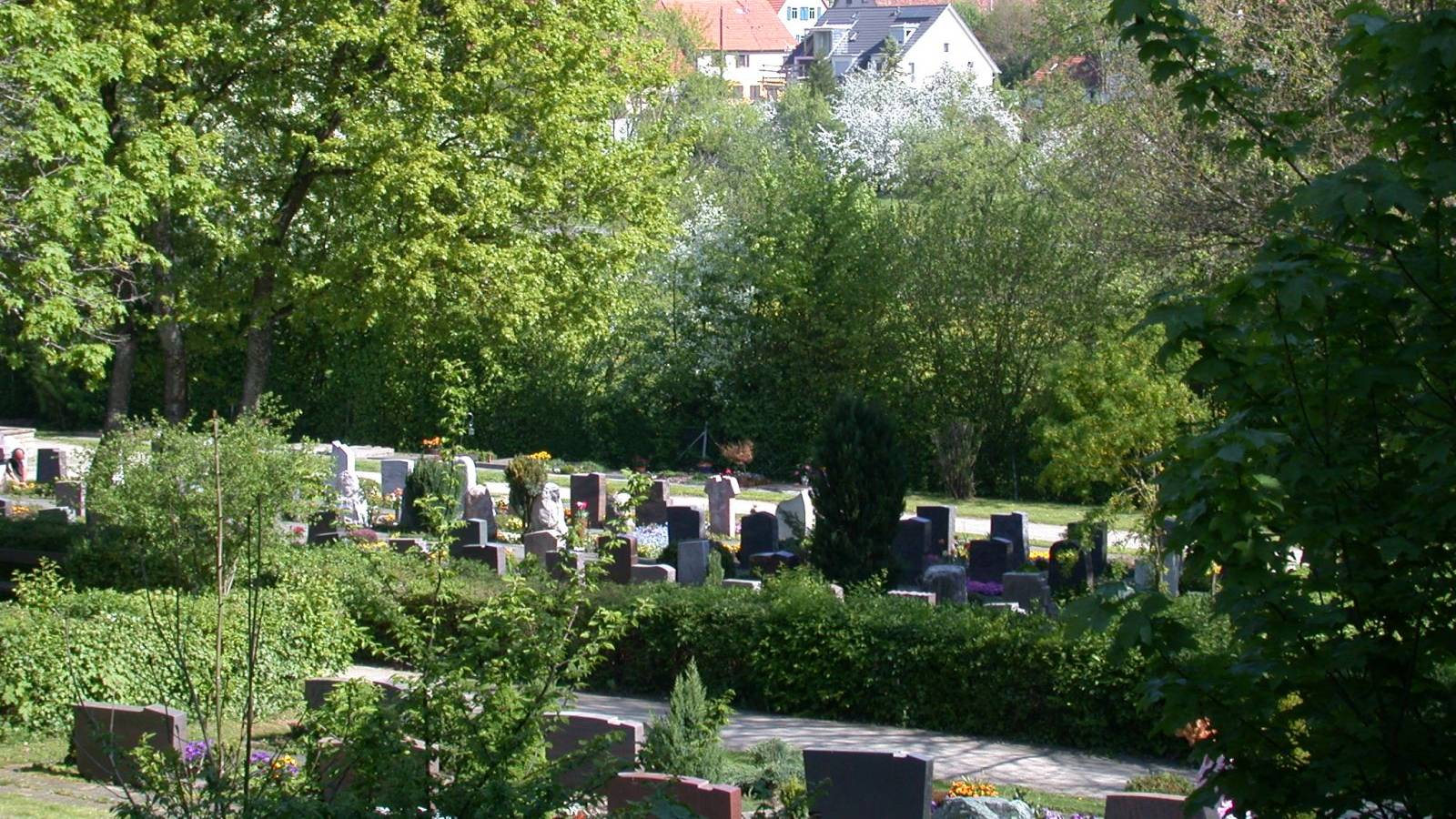  Friedhof Deufringen 